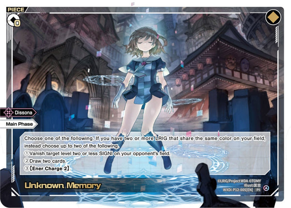 Unknown Memory - WXDi-P12-005[EN]